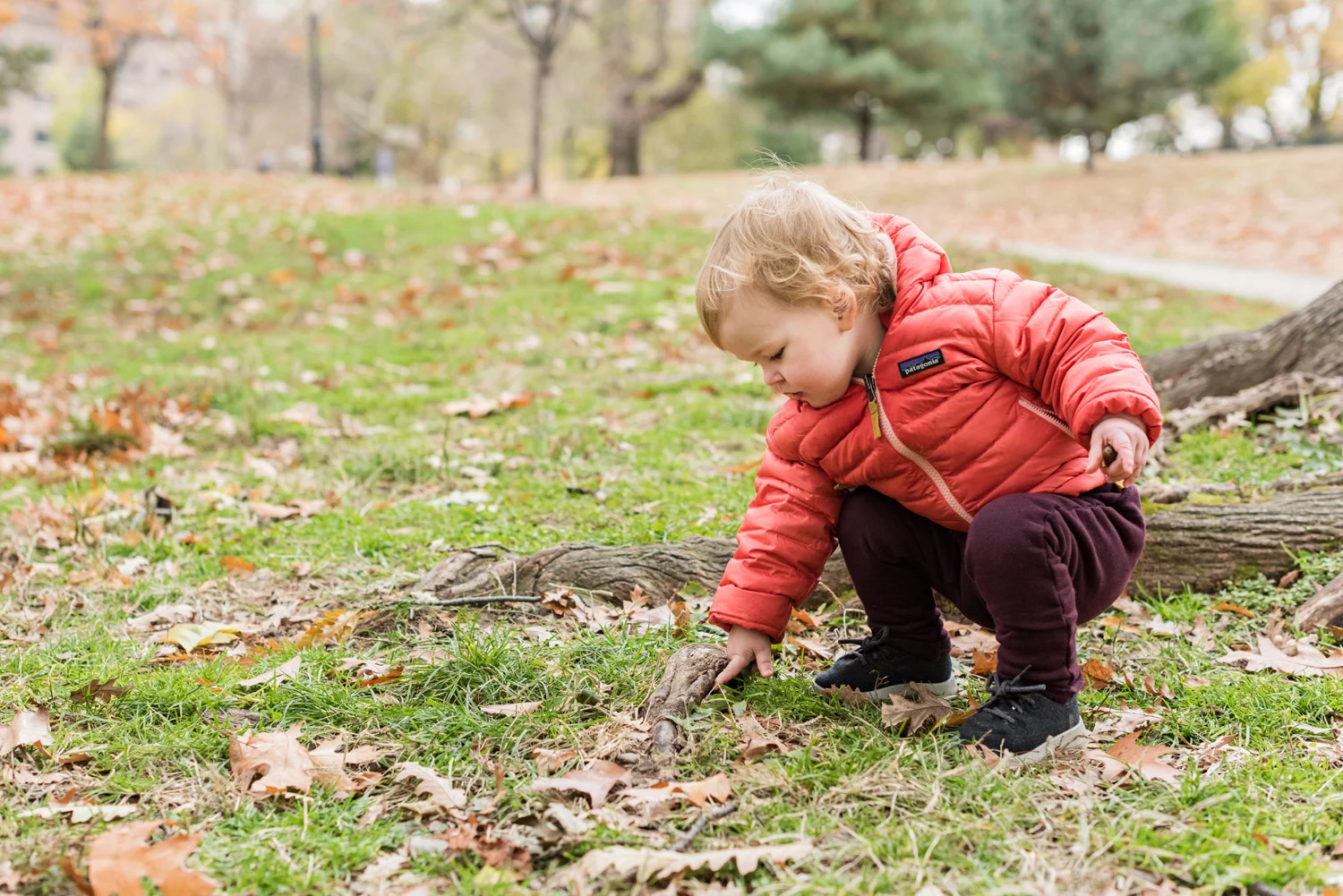 Fort Greene Baby Photographer-11182018_12.jpg