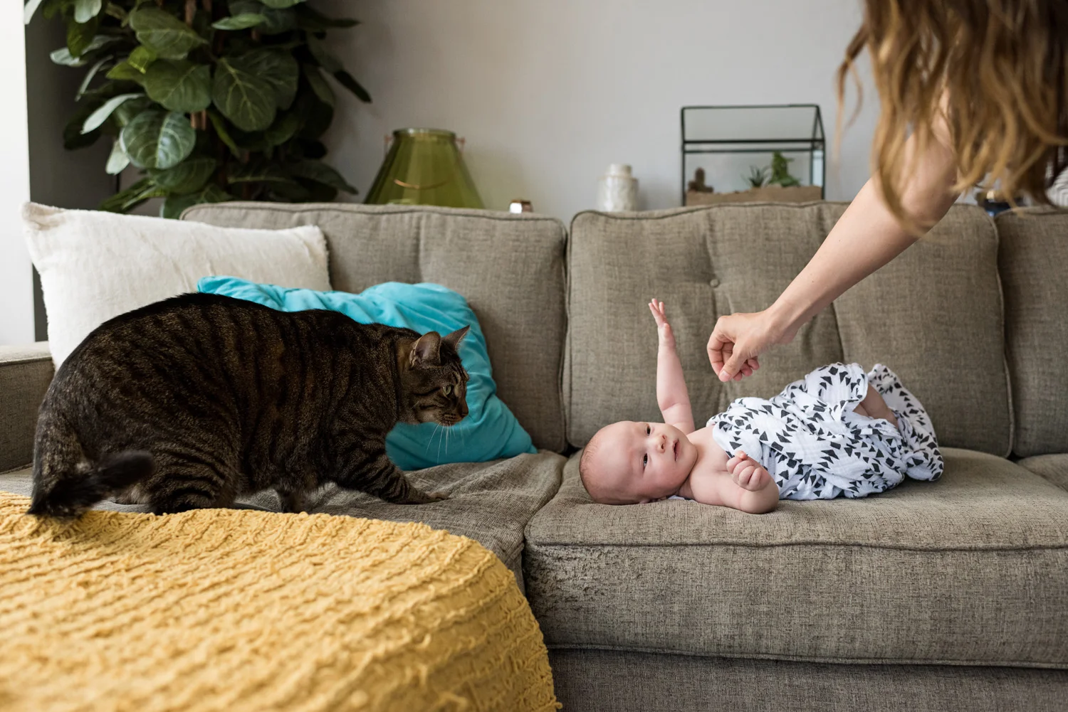 NYC newborn_20190525_058.jpg