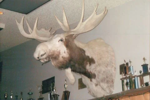 pd_0050.jpg