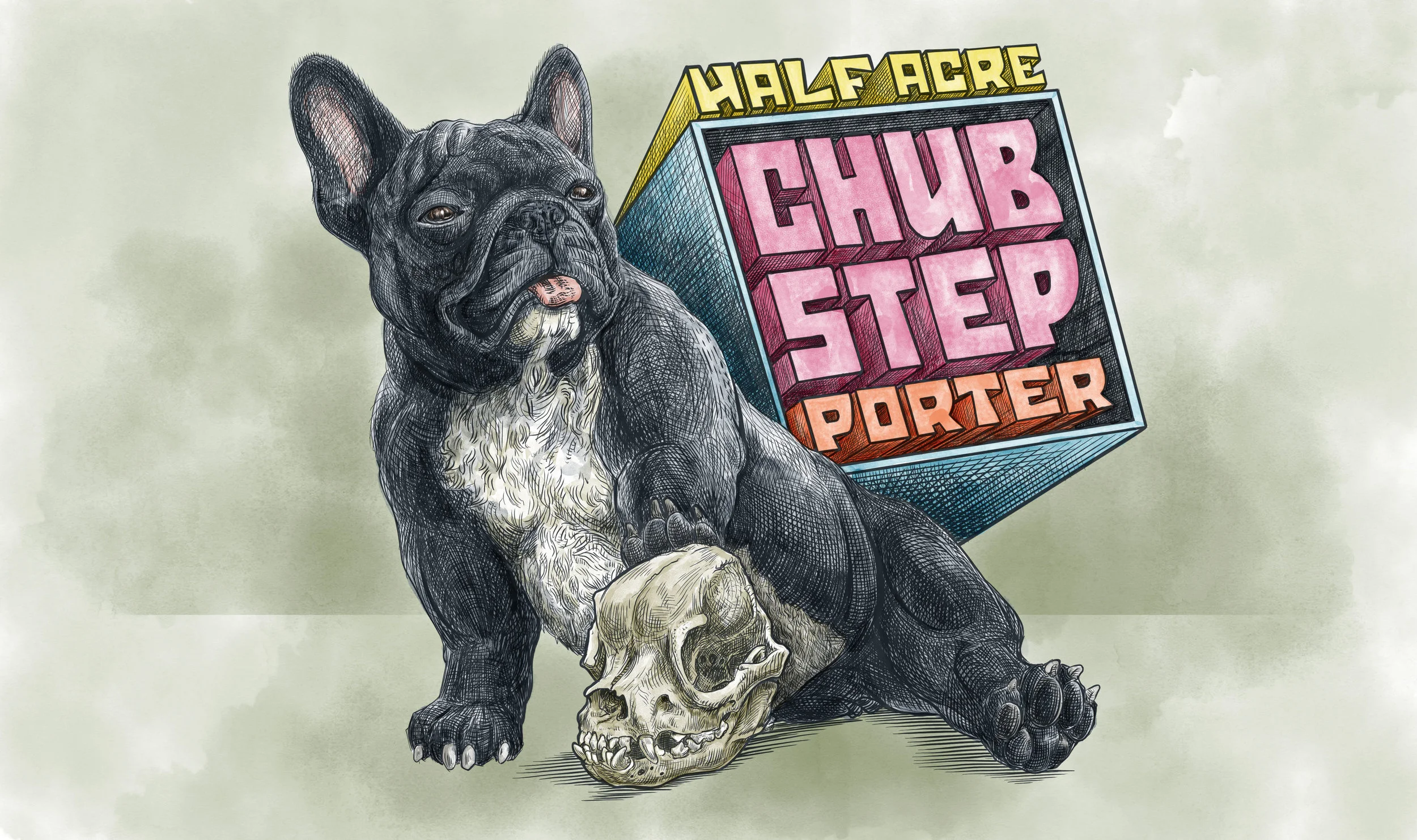 Chub Step 2018