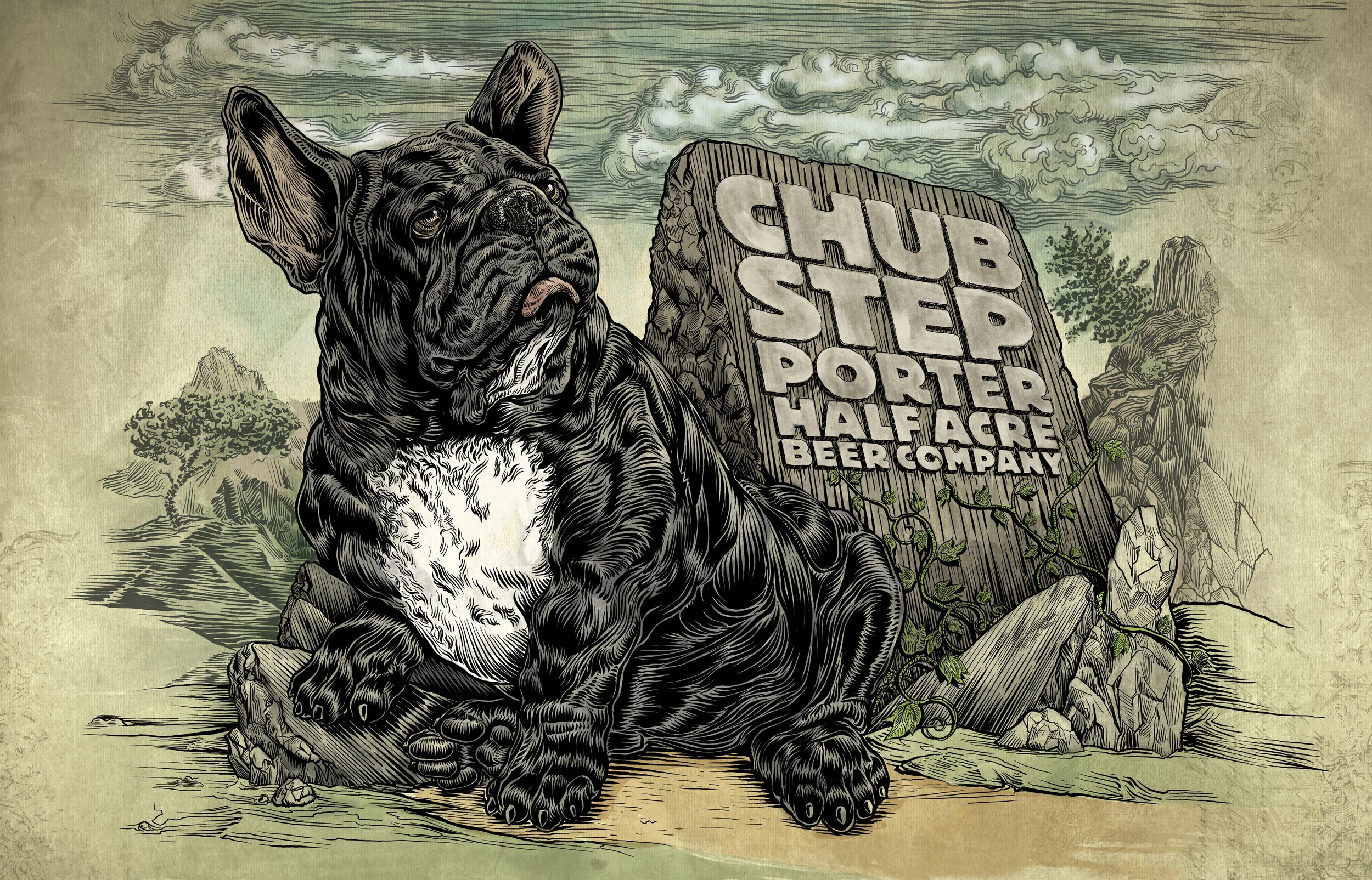 Chub Step 2018