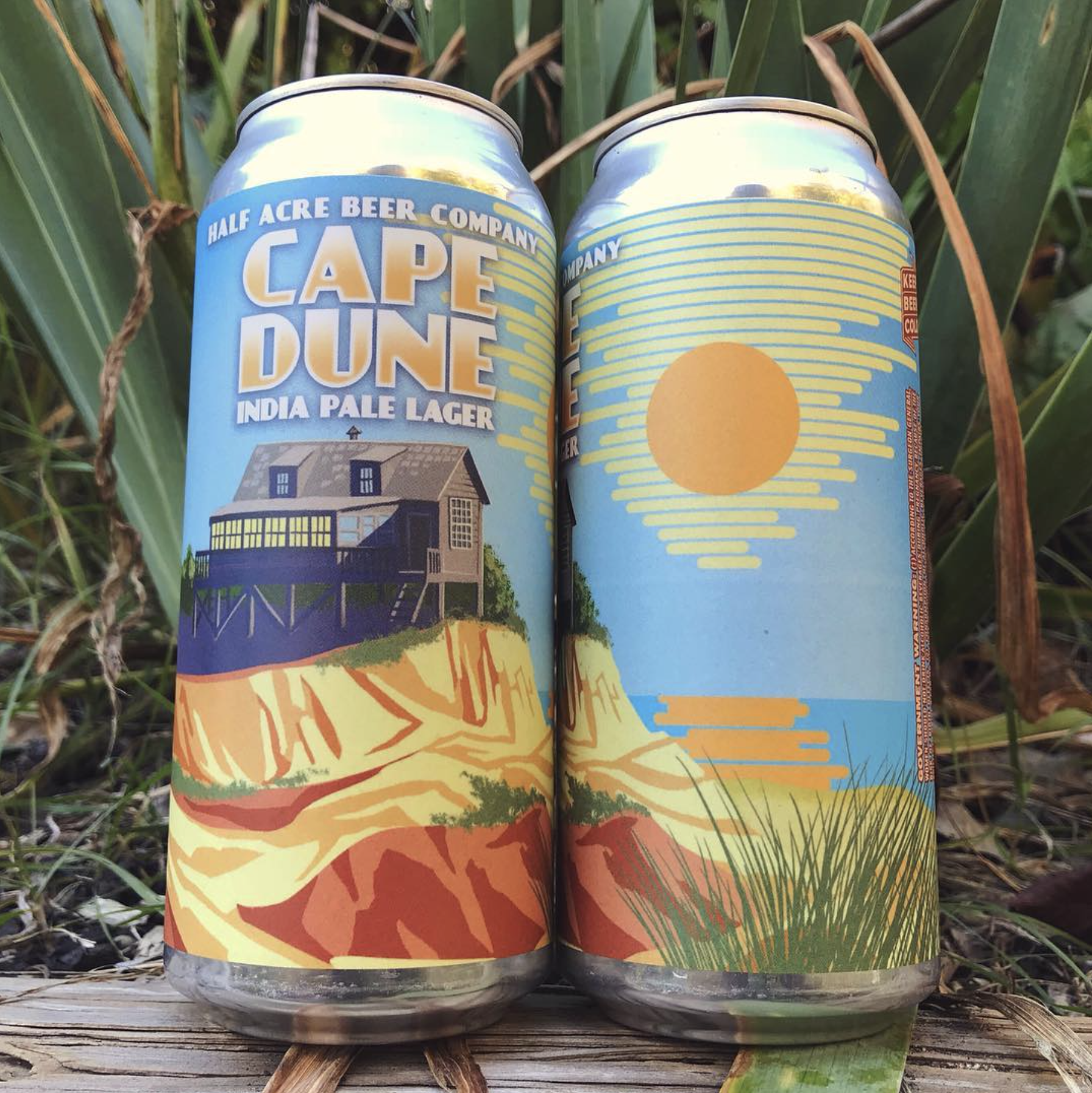 Cape Dune Cans in the Wild