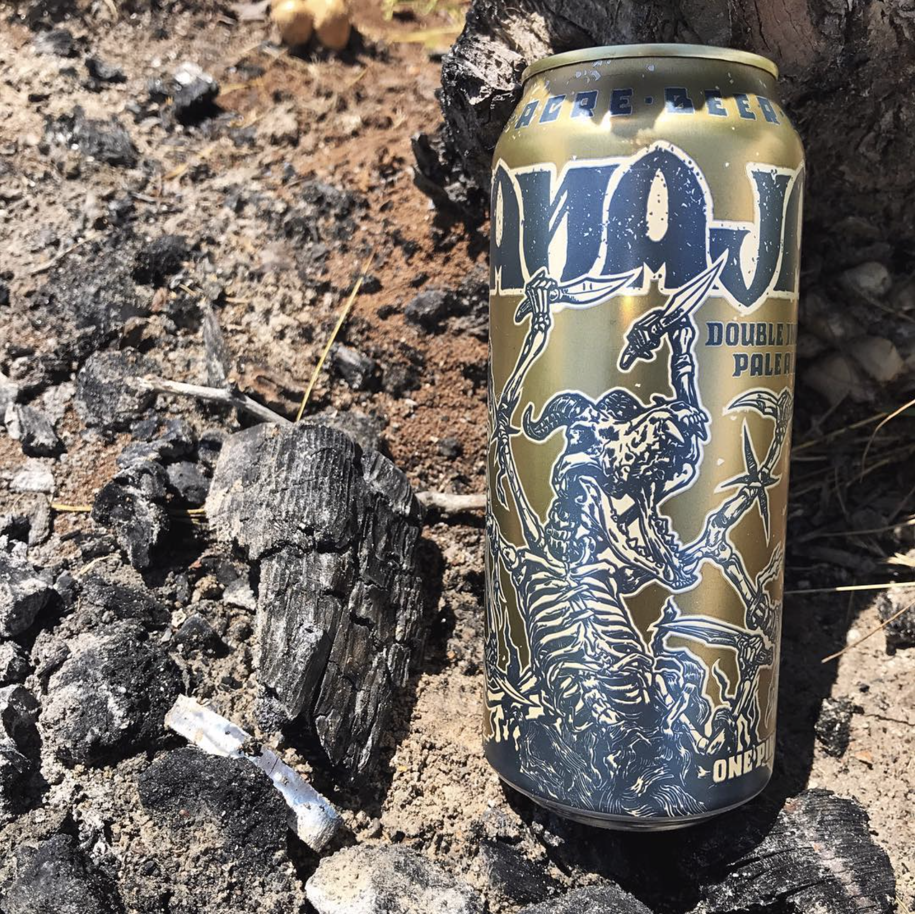 In the Wild
