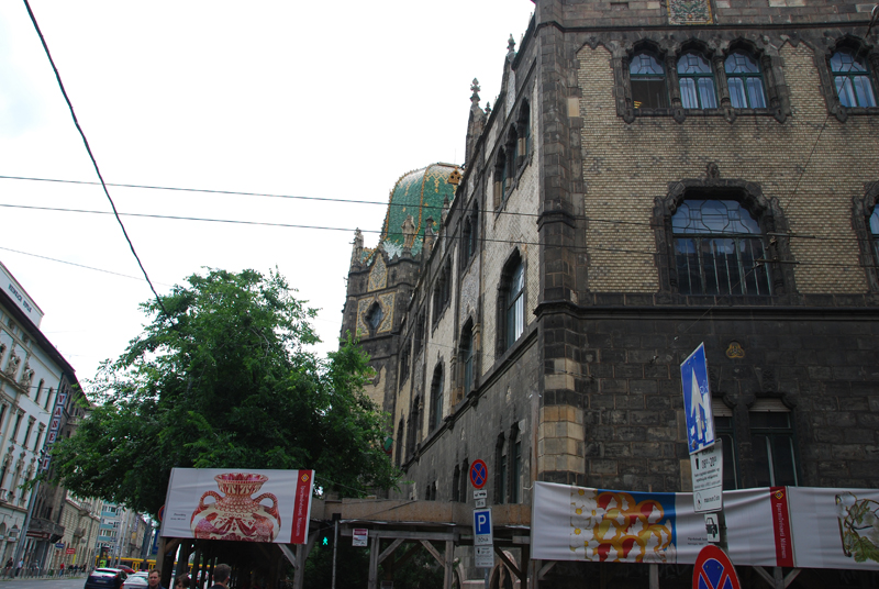 DSC_2167.jpg
