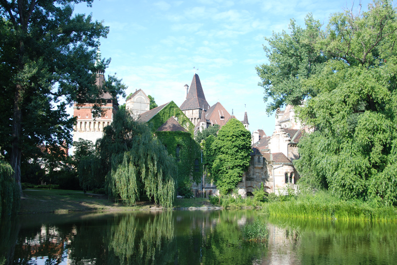 DSC_2330.jpg