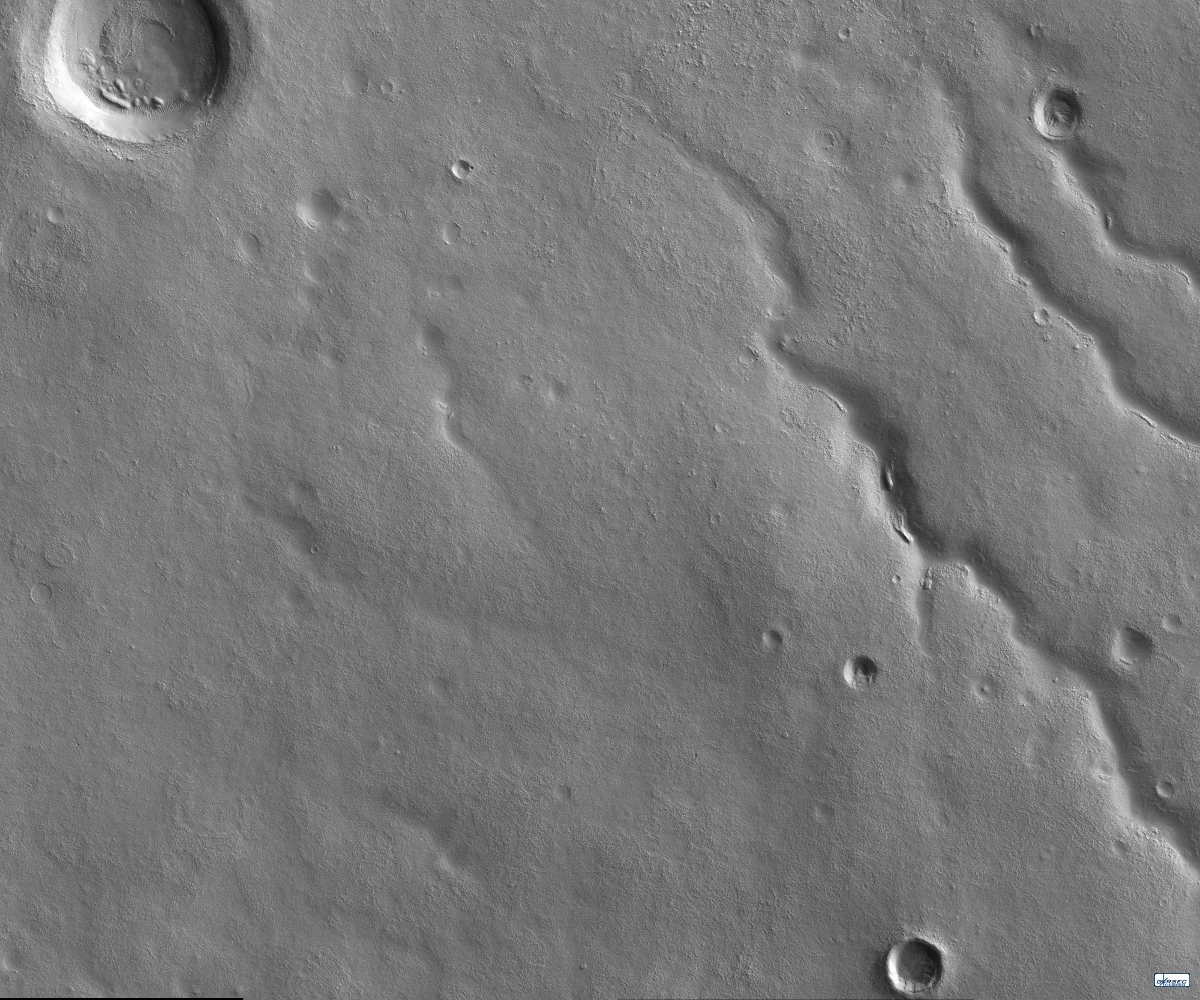 Lunar NO Web.jpg