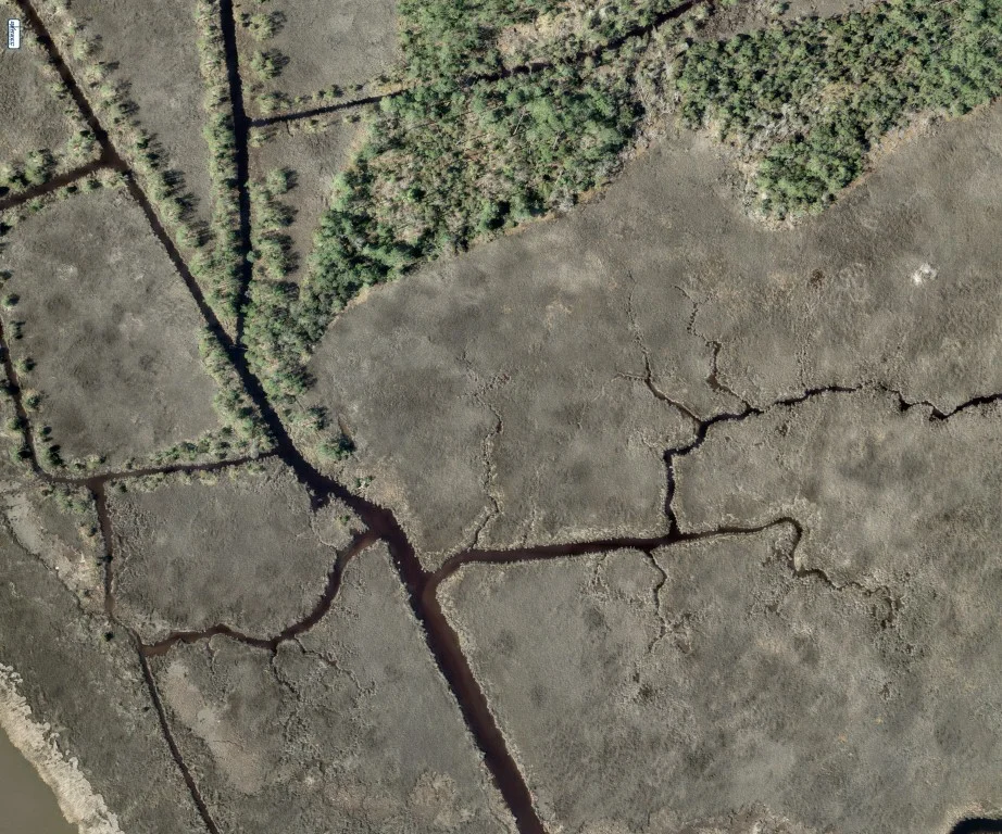 RBNO Web.jpg
