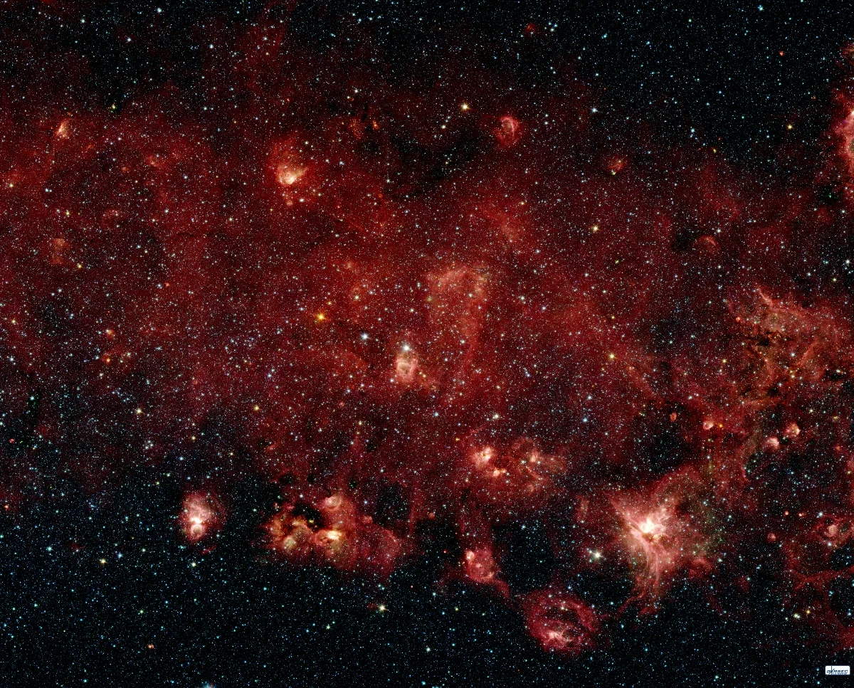 RN1NO Web.jpg