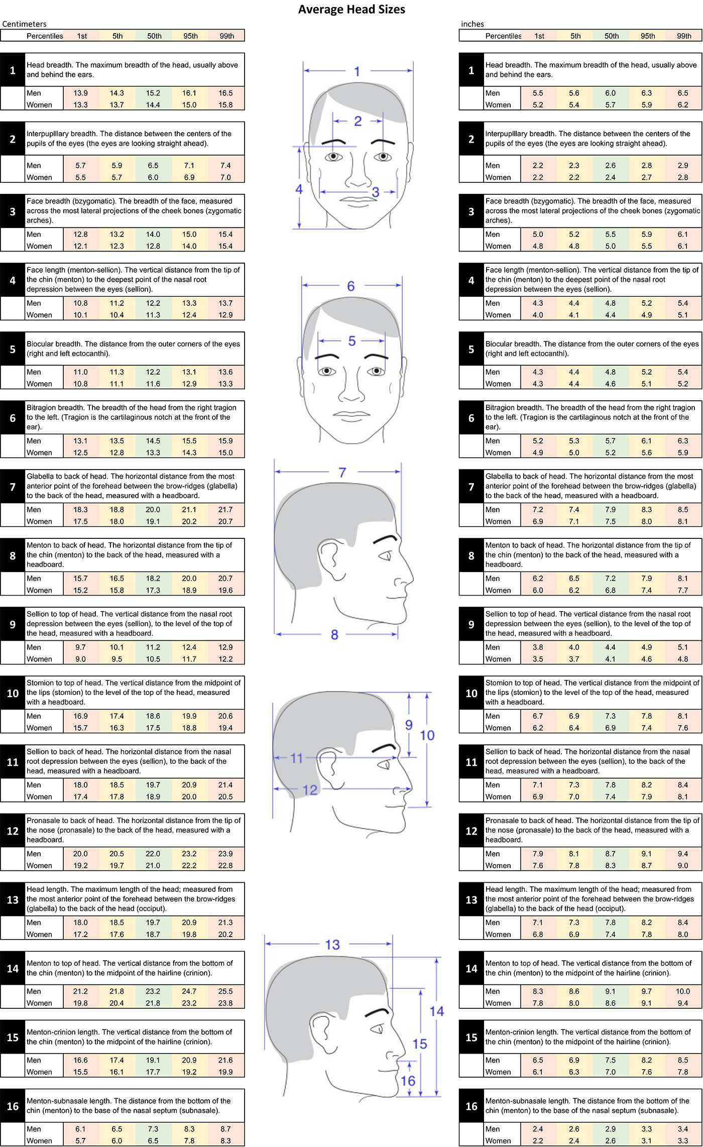 Source: https://commons.wikimedia.org/wiki/File:AvgHeadSizes.png