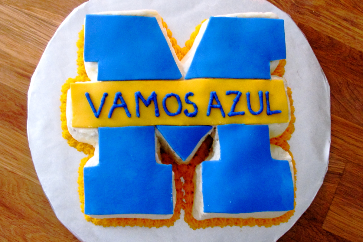 vamoszaulcake.JPG