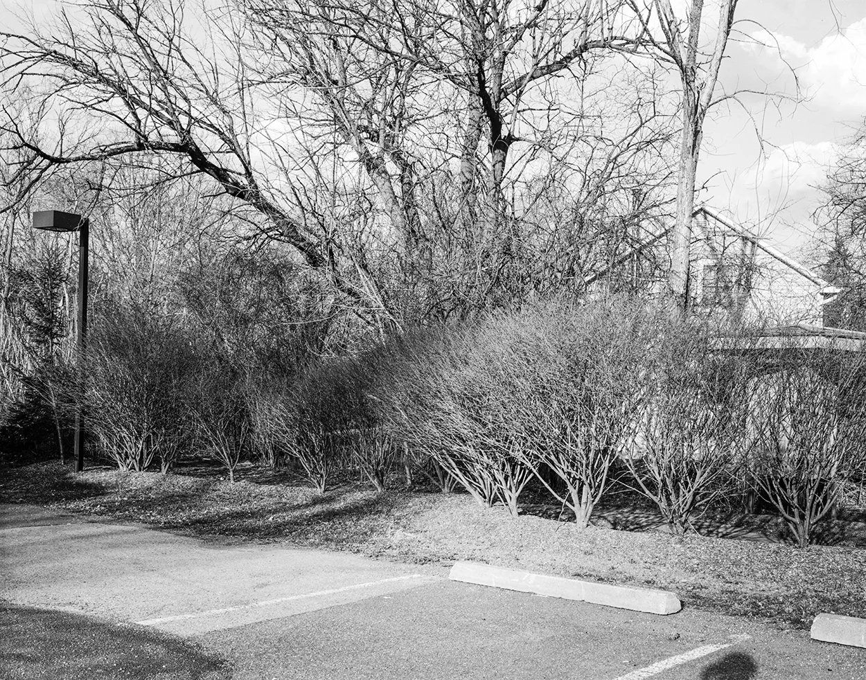 Back Lot, Tivoli, New York