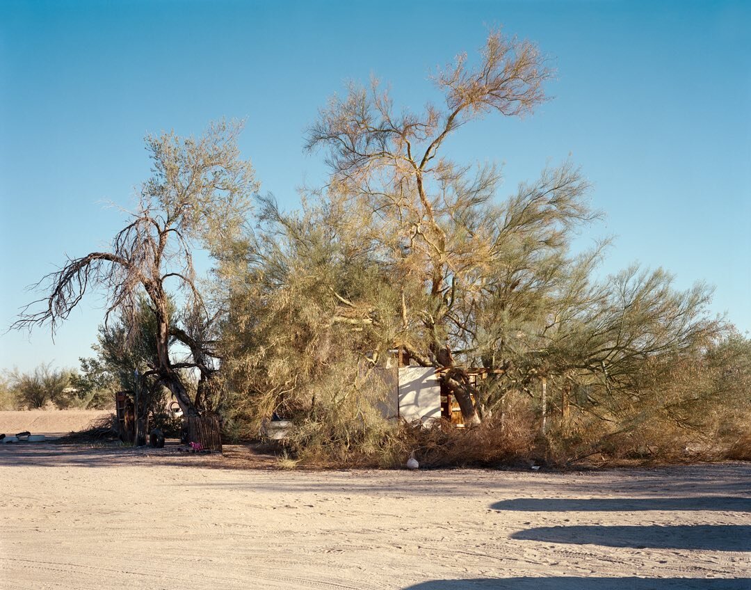 Slab City, 2014