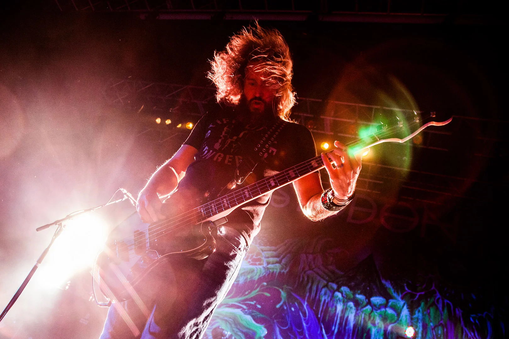 Gojira_and_Mastodon_15.jpg