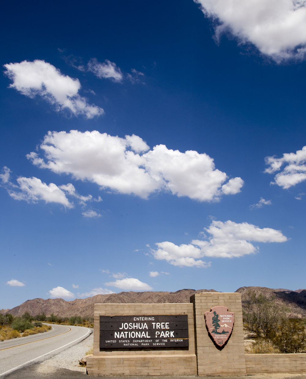 JoshuaTree_001.jpg