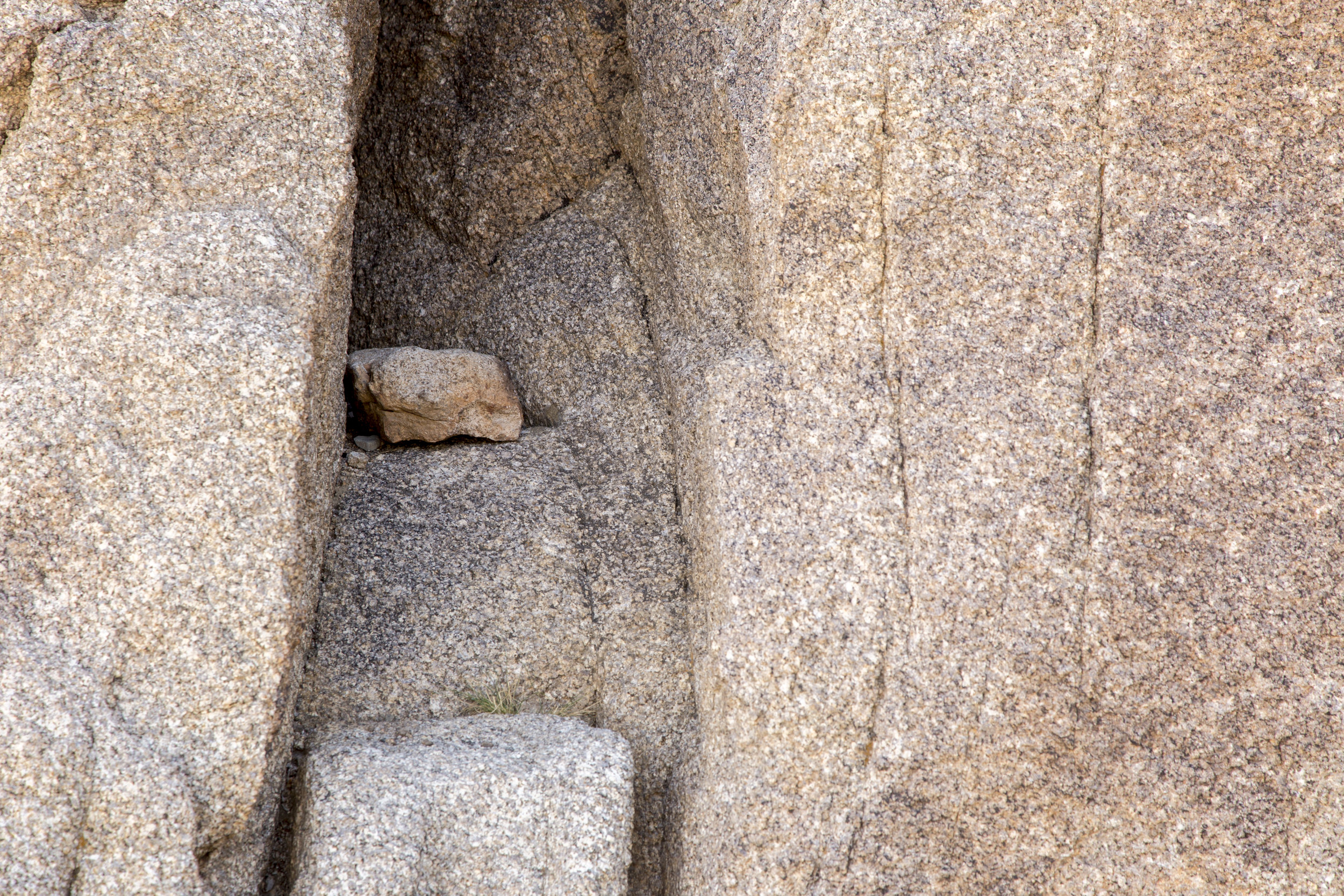 JoshuaTree_008.jpg