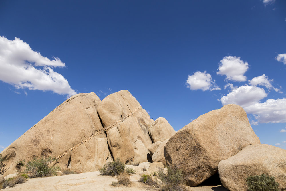 JoshuaTree_009.jpg