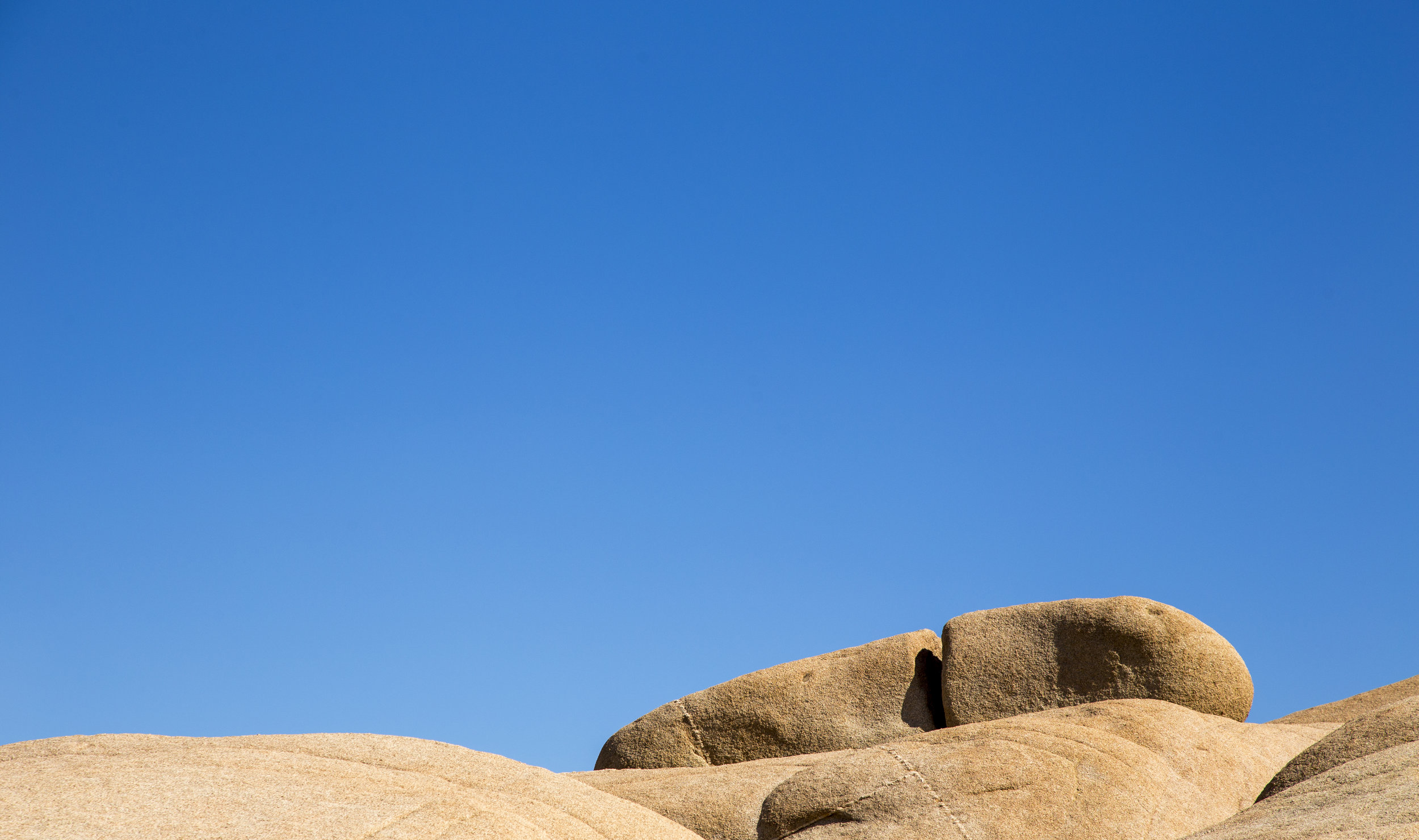 JoshuaTree_012.jpg