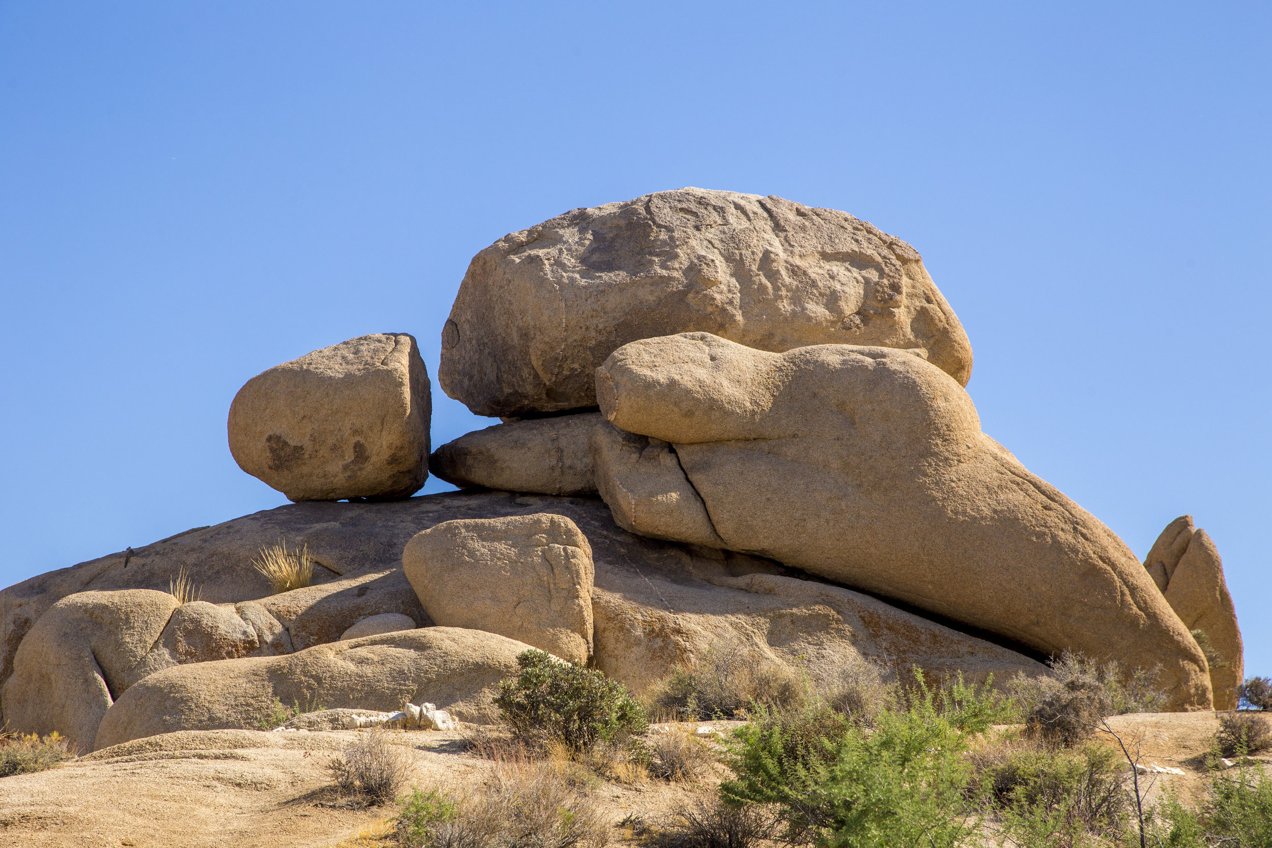 JoshuaTree_013.jpg