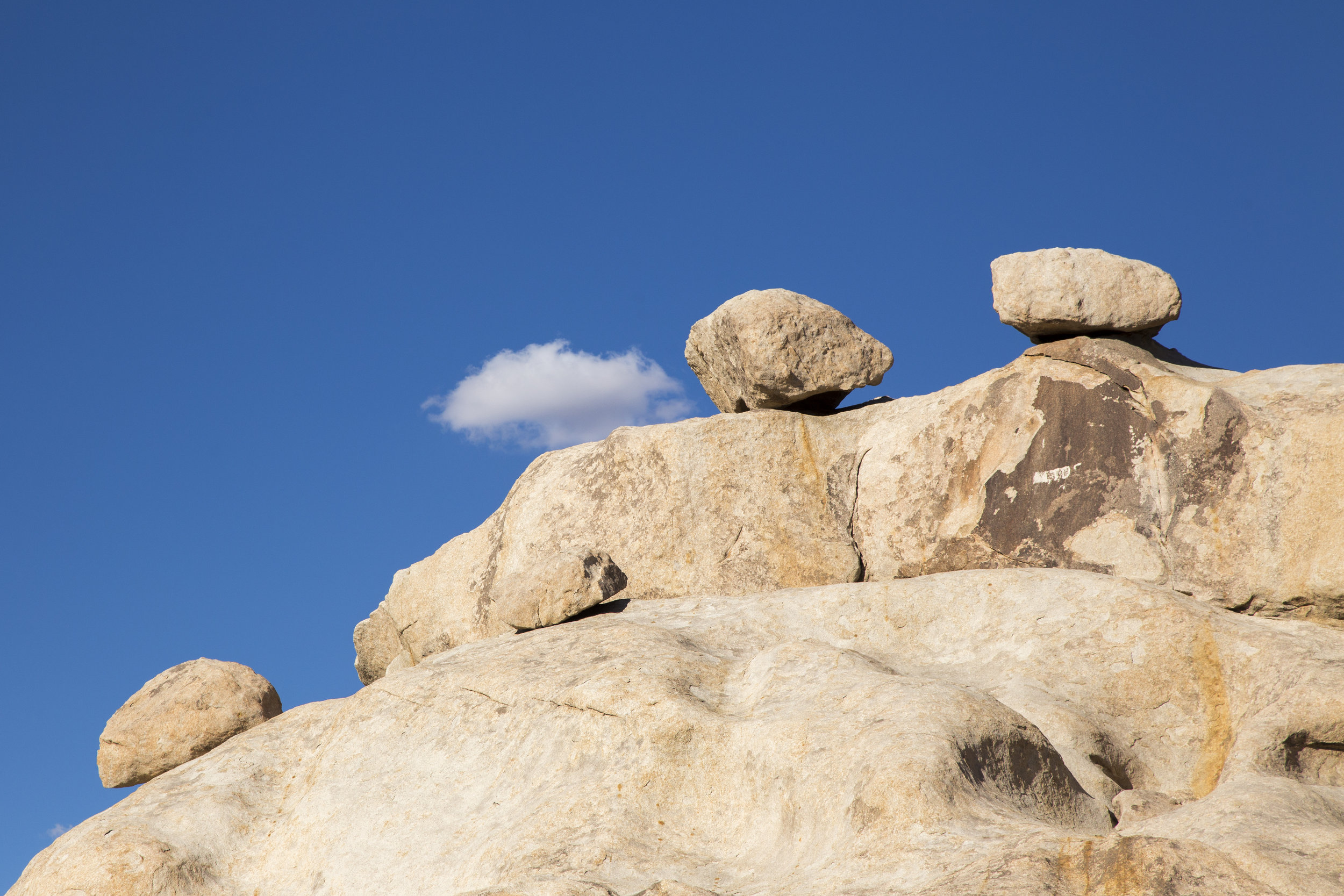 JoshuaTree_019.jpg