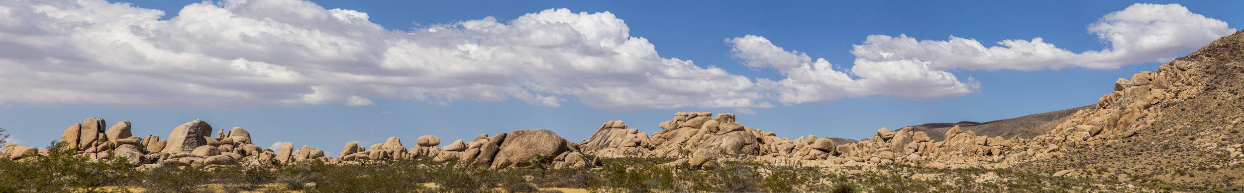 JoshuaTree_014.jpg