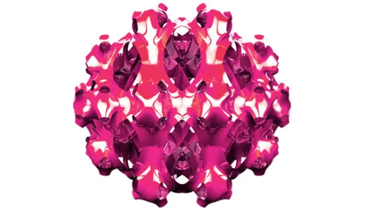 BLOOM.jpg