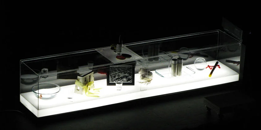 Autopilot Vitrine