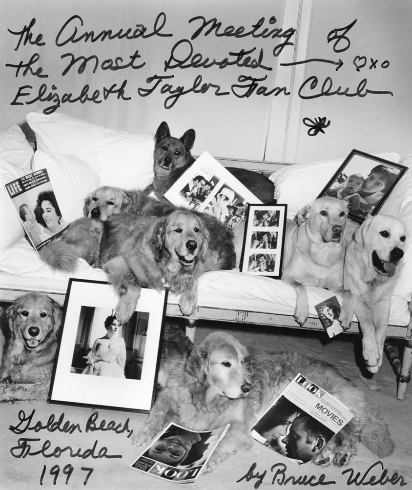 Bruce-Weber-Liz-Taylor-Dogs.jpg