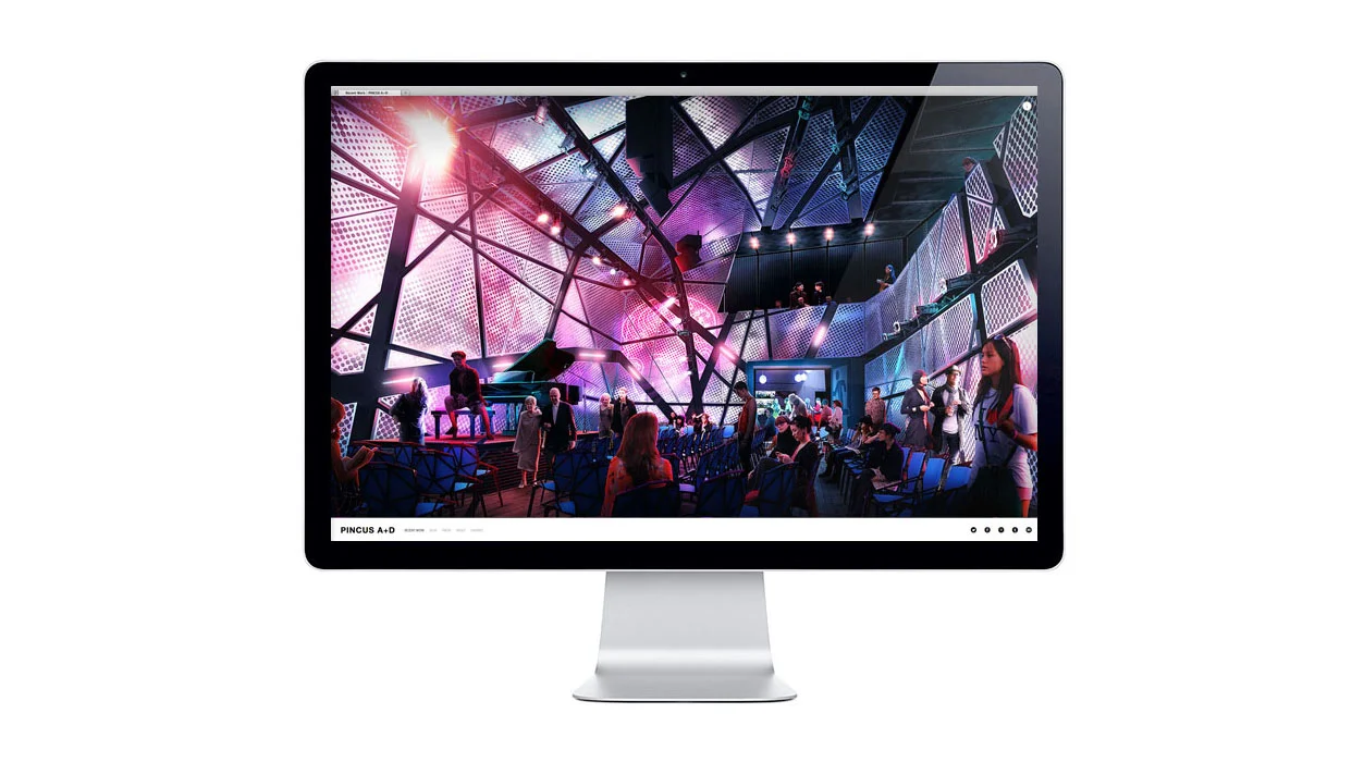 pincus-website-2013.jpg