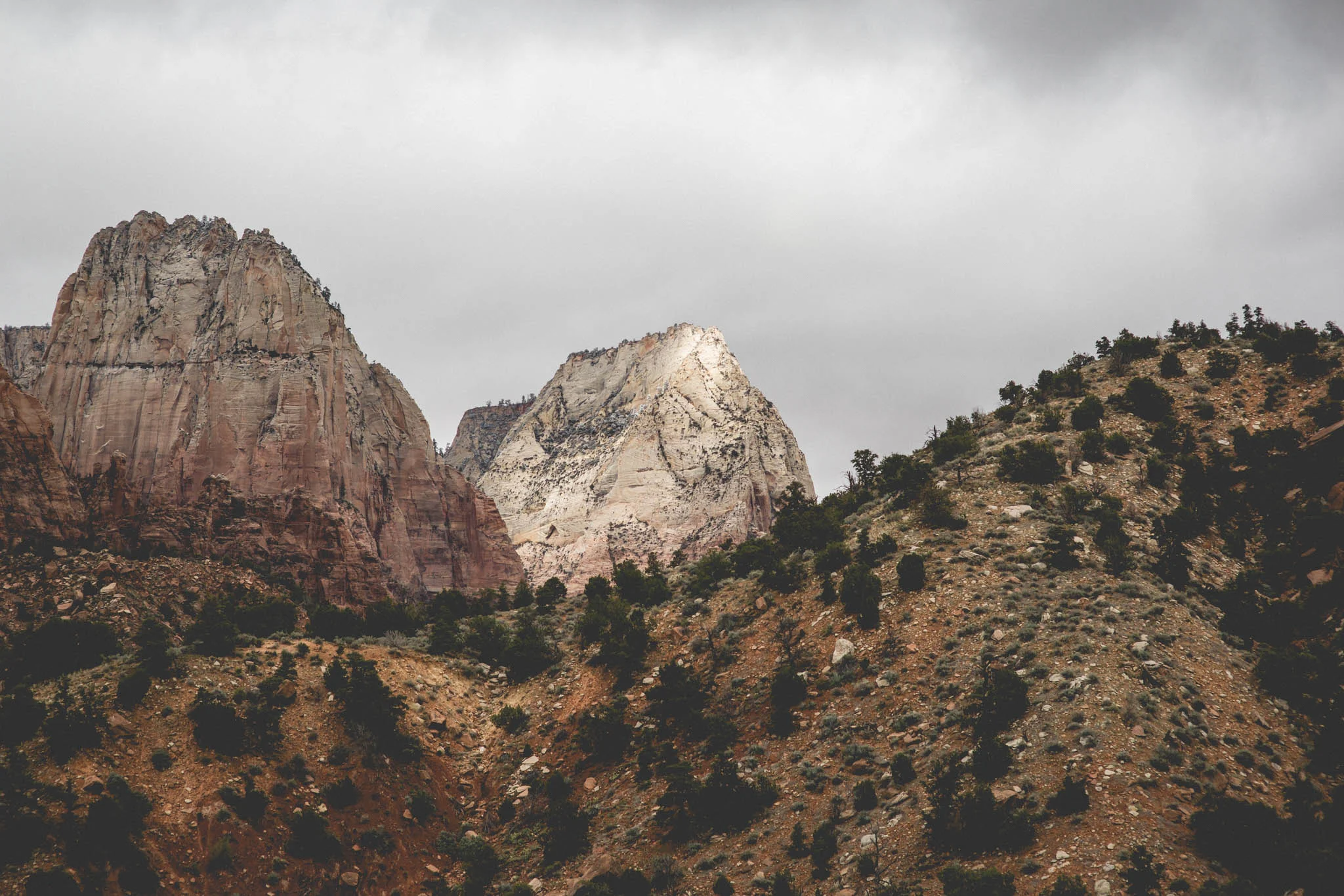 06.  ROCKSTEADY COVENANT [Leah+Jarvis 3rd Anniversary (Zion UT)]-JARV0063.jpg