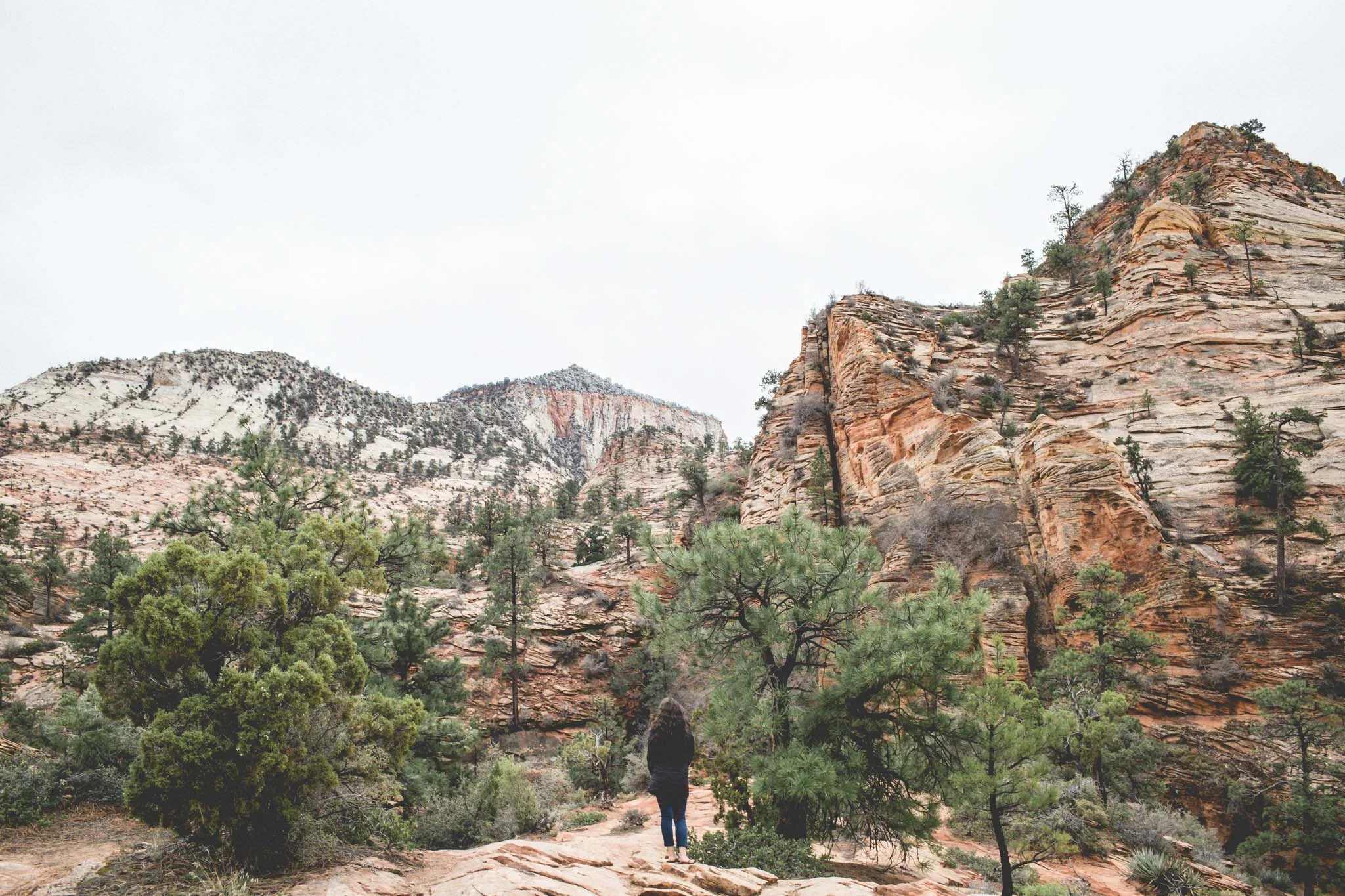 07.  ROCKSTEADY COVENANT [Leah+Jarvis 3rd Anniversary (Zion UT)]-ROCK0297.jpg