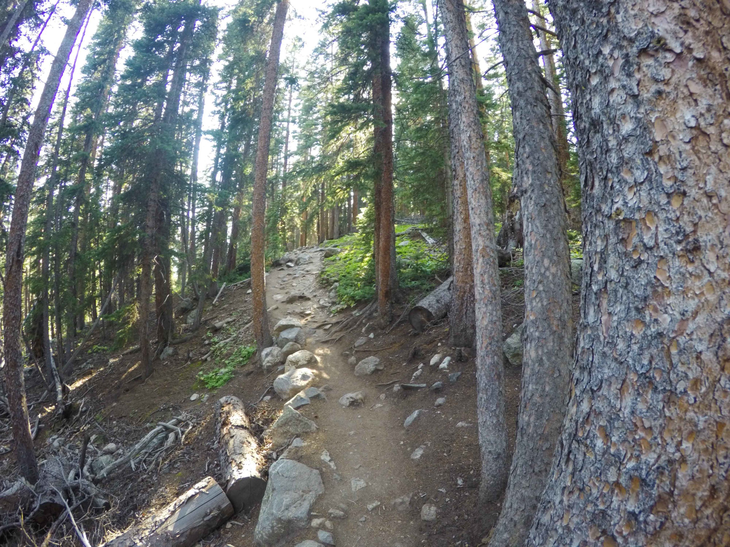 20150819_Colorado_Web_311.jpg