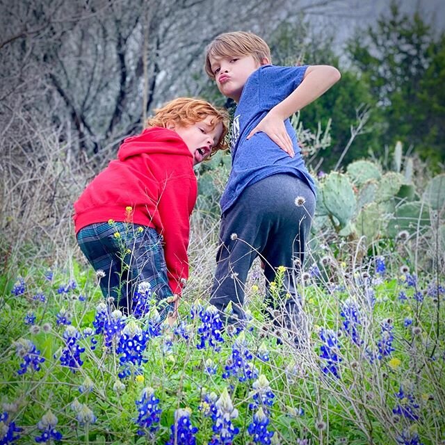 I got your Texas State Flower pic right here! JK, love this state, rooting for the home team. #bluebonnets #bluebonnets2020 #daytripsfromaustin