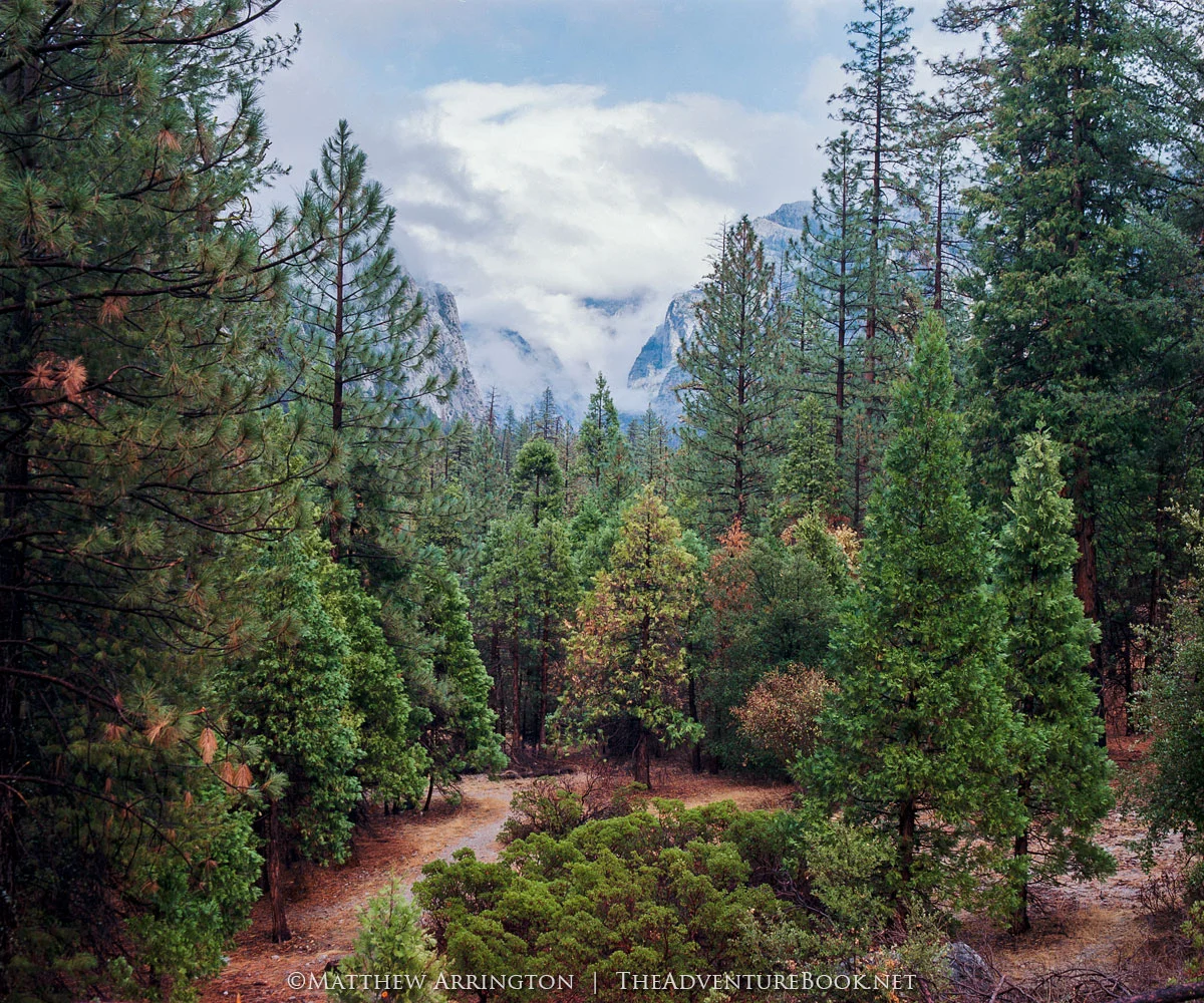 View into King's Valley - Mamiya RB67, 90mm, Ektar 100