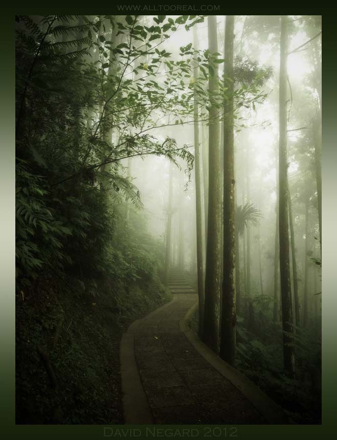Transient