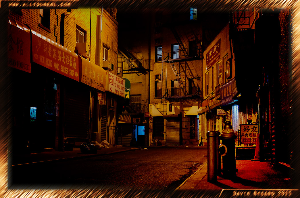 紐約的唐人街2013年 / Chinatown,New York 2013