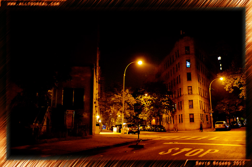 Bronx, New York 2013 / 紐約市布隆克斯區2013年