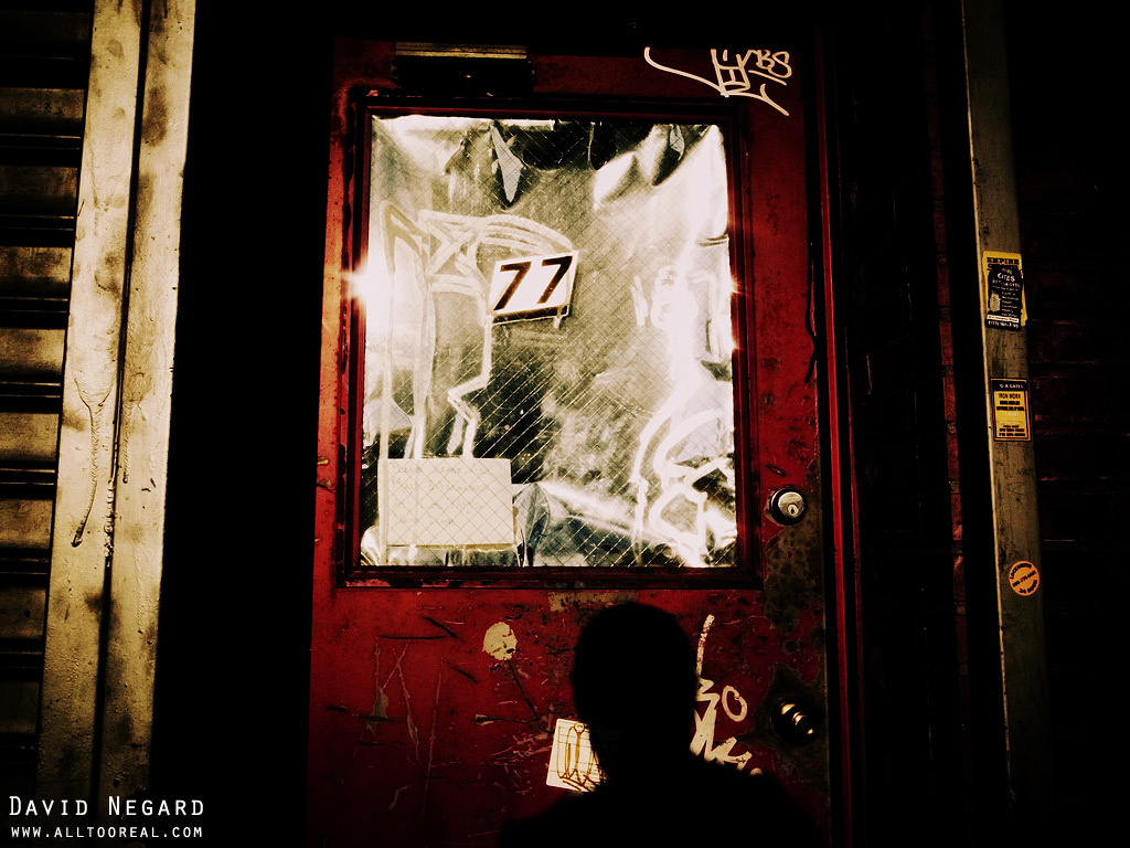 布魯克林2013年 / Brooklyn 2013