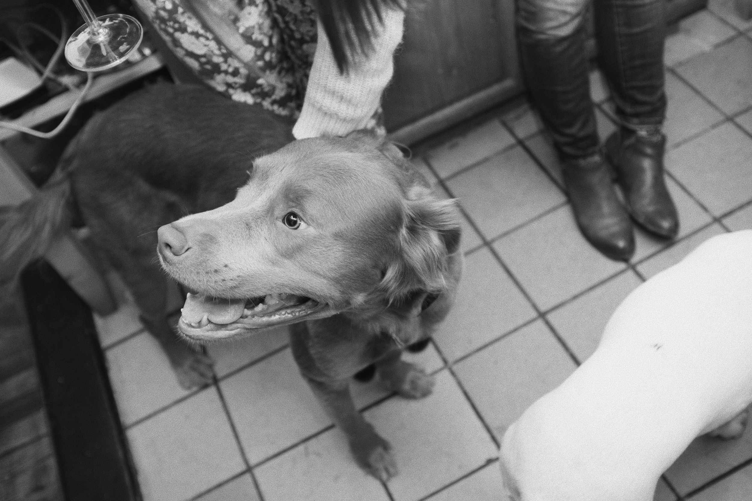 Processed with VSCO with kx4 preset
