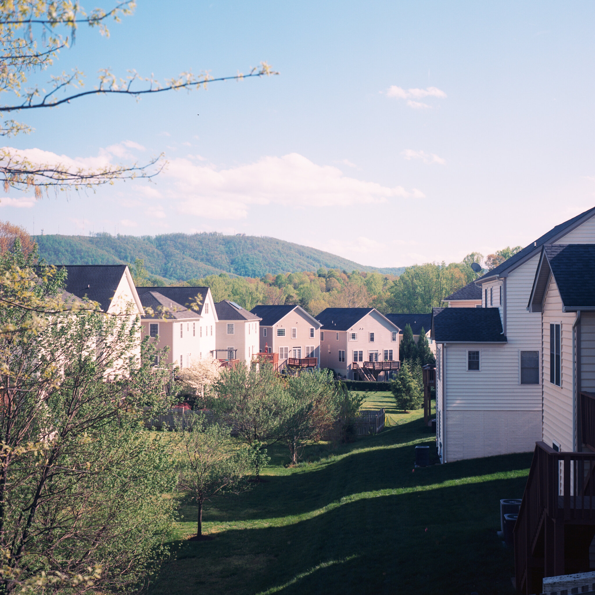 D34765CA-E14D-4A6D-A843-4B1F335FCE67.jpeg