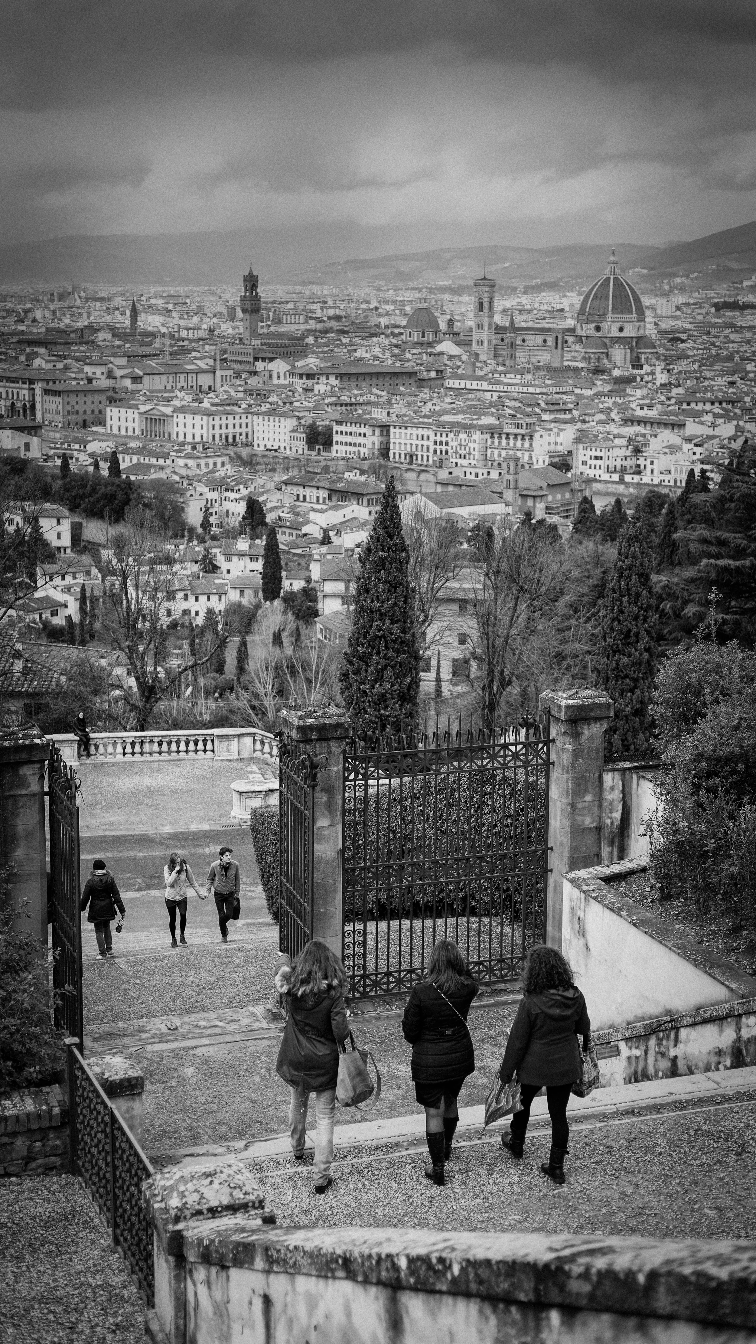 _MG_9427-Edit-Edit-Edit.jpg