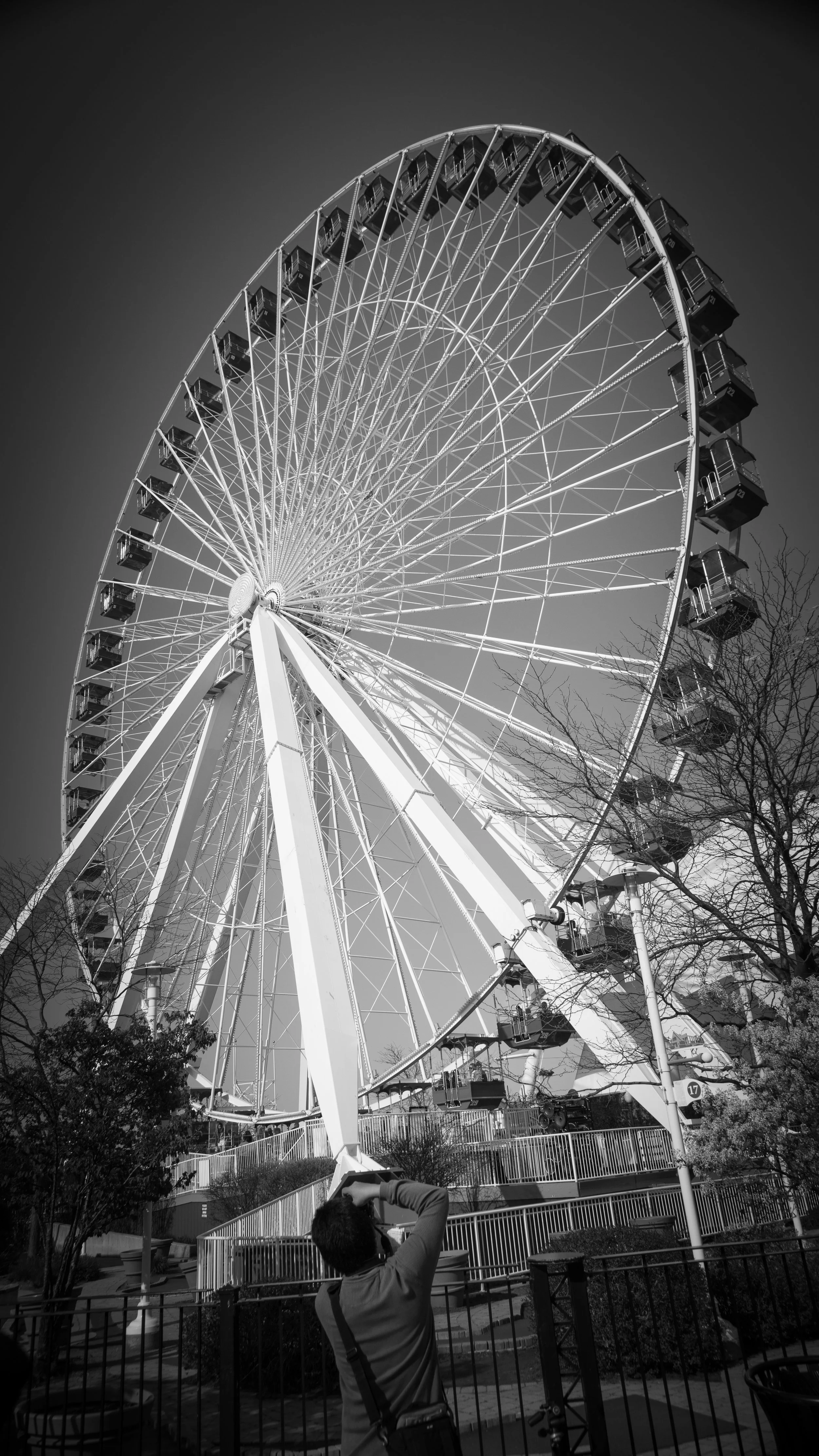 IMG_4262.jpg