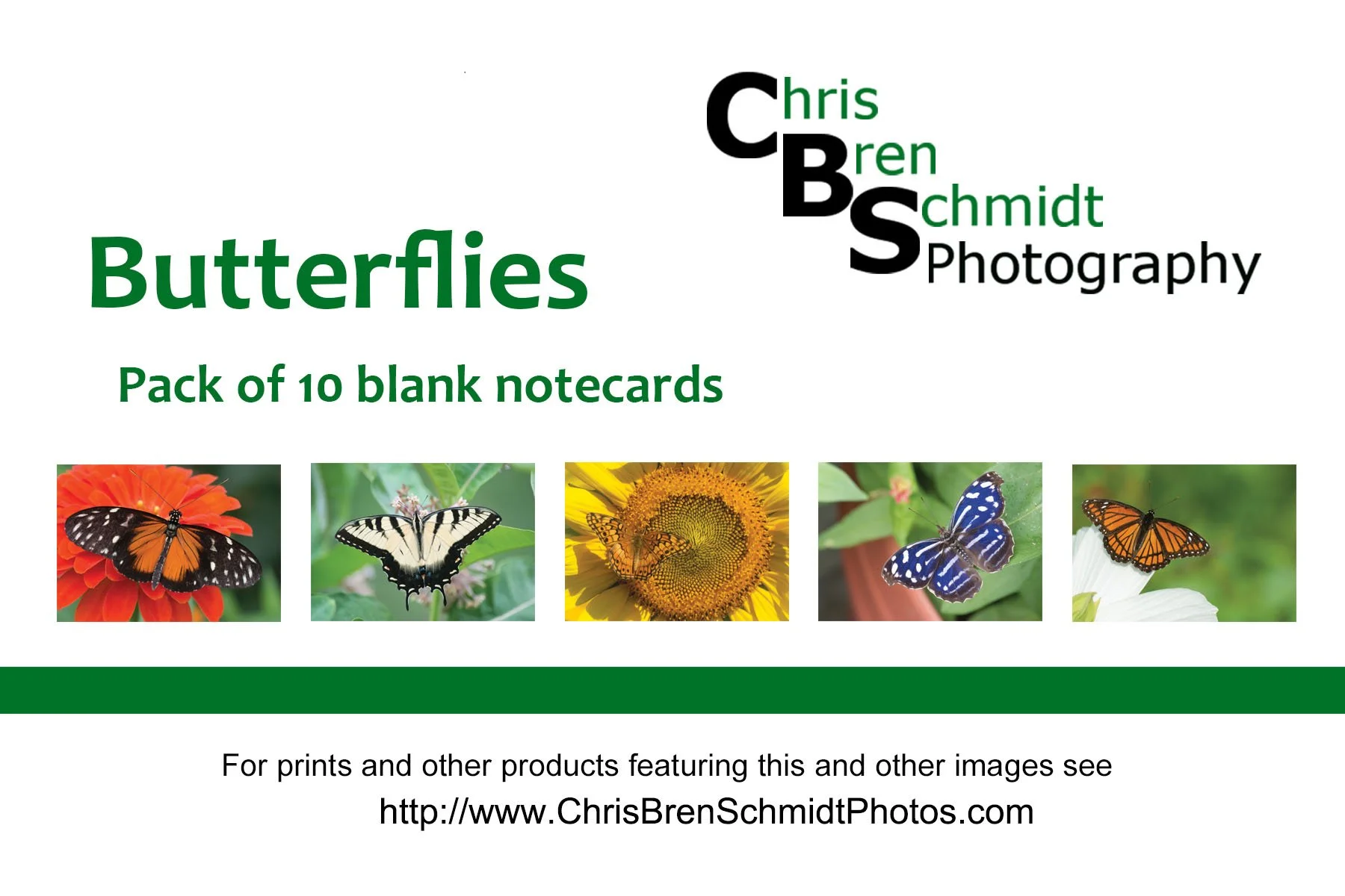 promo_notecards-butterflies.jpg