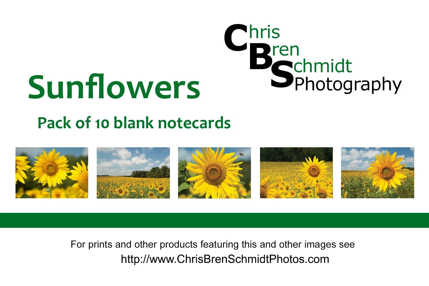 promo_sunflowers-2020.jpg