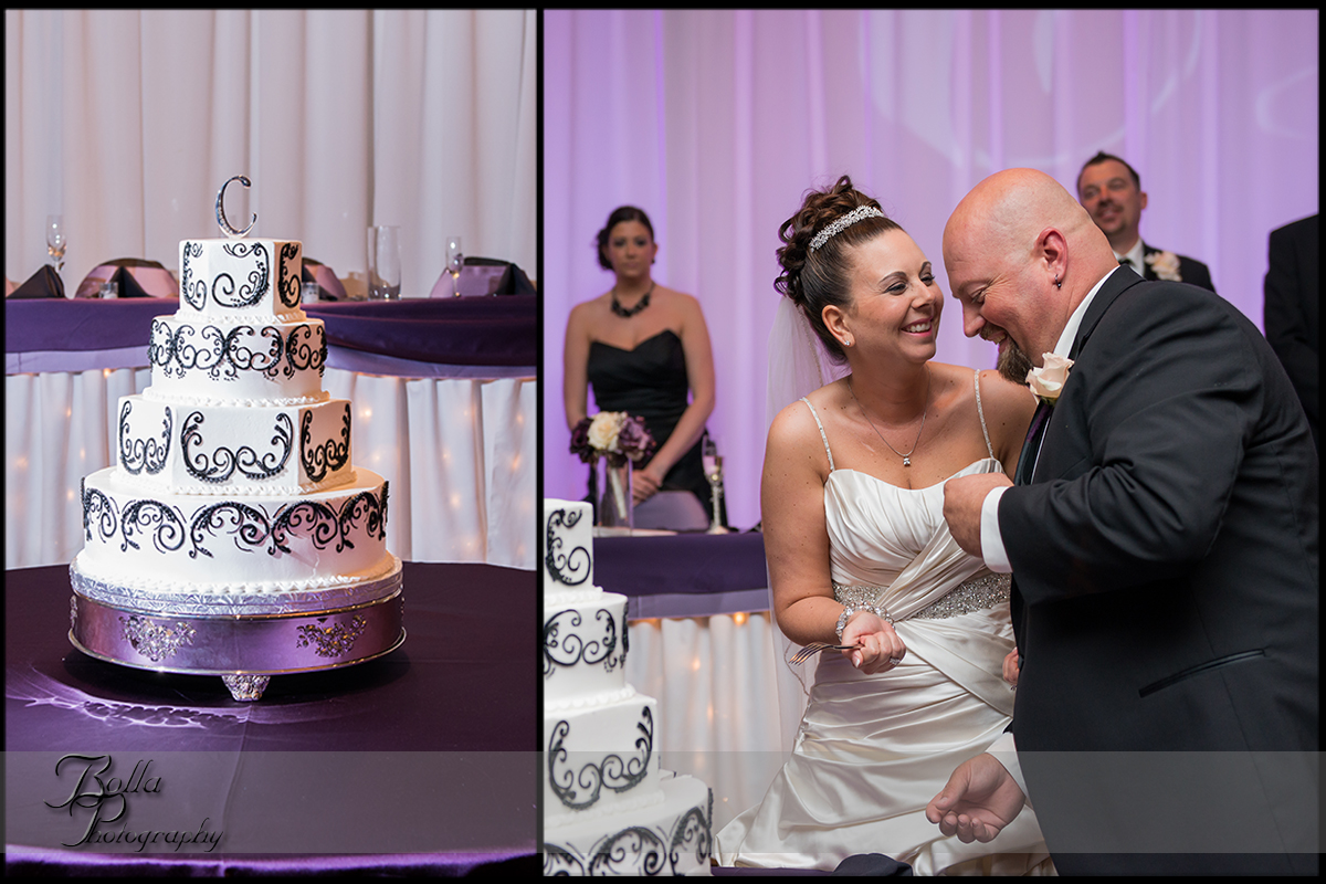 013_wedding_reception_columbia_il_falls_cake_bride_groom.jpg