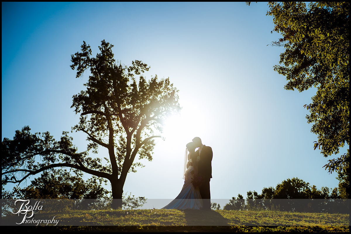 001-Bolla-Photography-wedding-Saint-Louis-MO-STL-bride-groom-portraits-park-silouhette-tree-Peters.jpg
