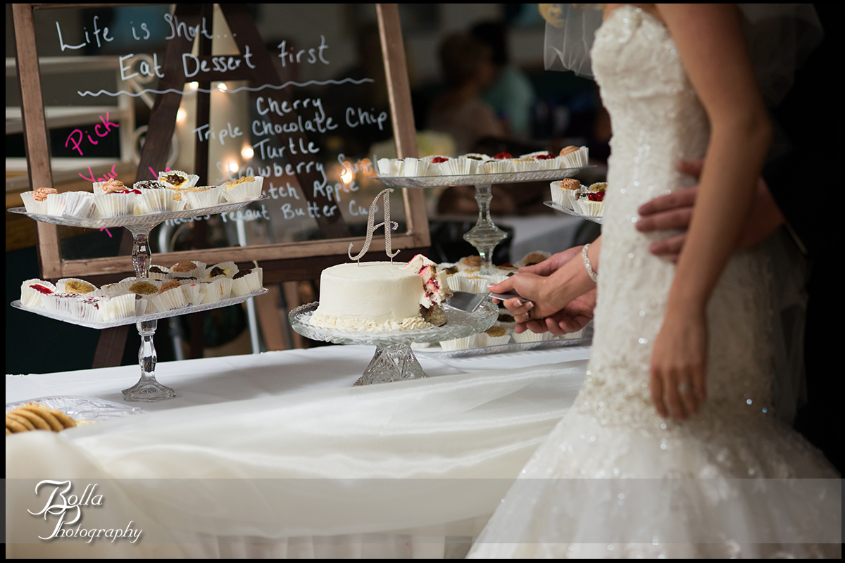017-Bolla-Photography-wedding-Germantown-IL-reception-bride-groom-American-Legion-cake-cheesecake-Albers.jpg