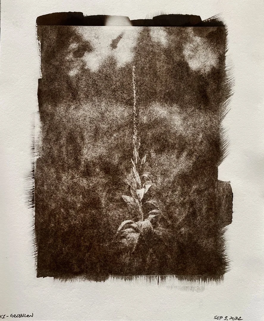 Understanding Art (Immortality Projects) and Death Anxiety — Studio Q ...