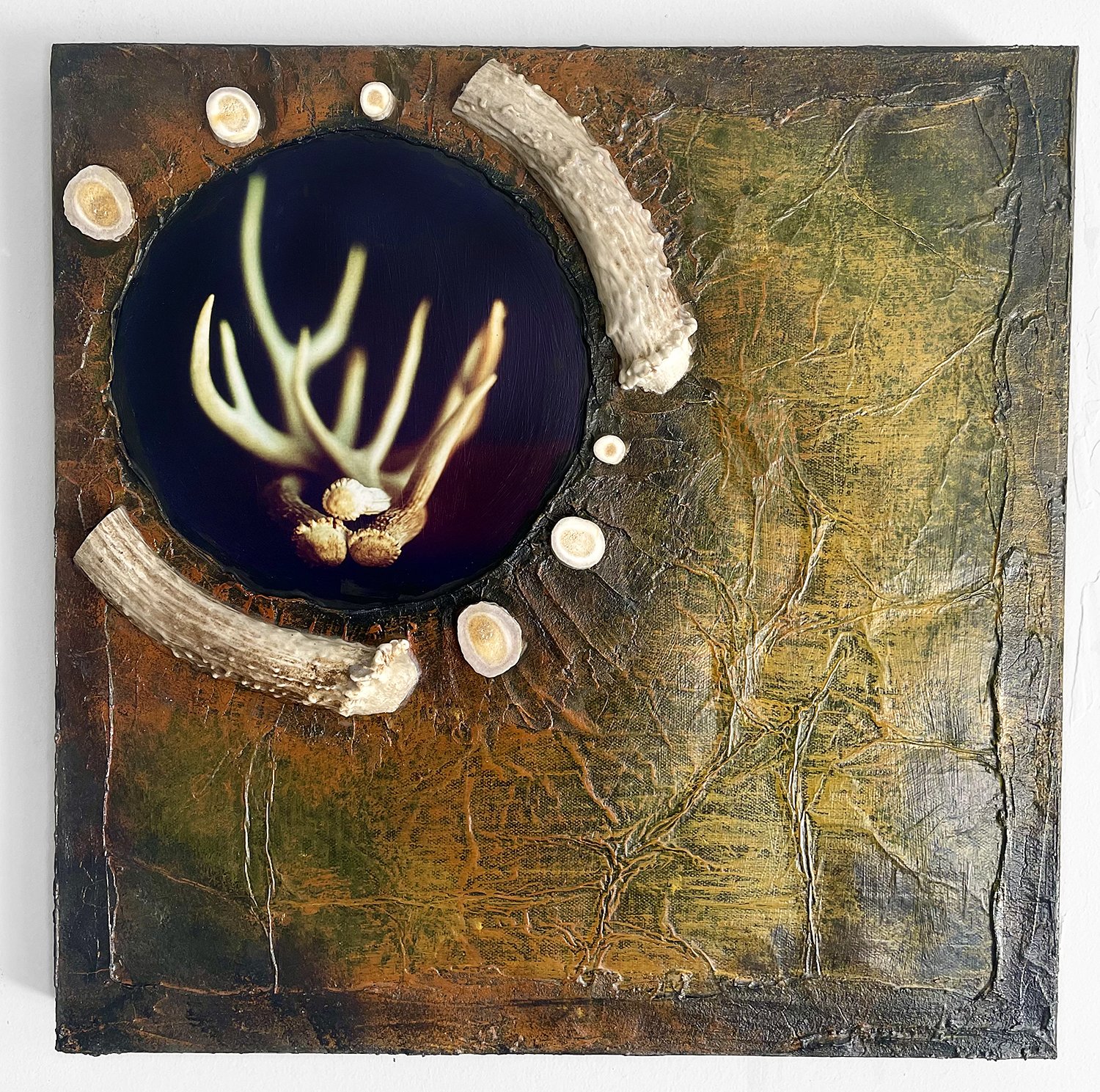 Feathered Antler - I love when you bring me cool things to paint