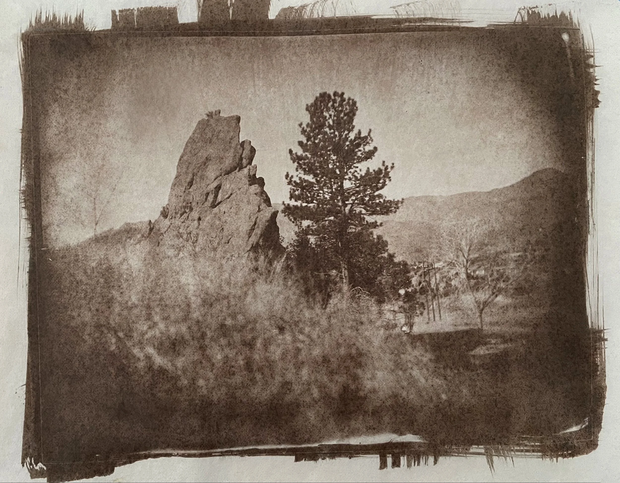 Argyrotype On Drafting Vellum Paper — Studio Q Photography