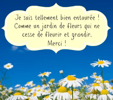 Merci.jpg
